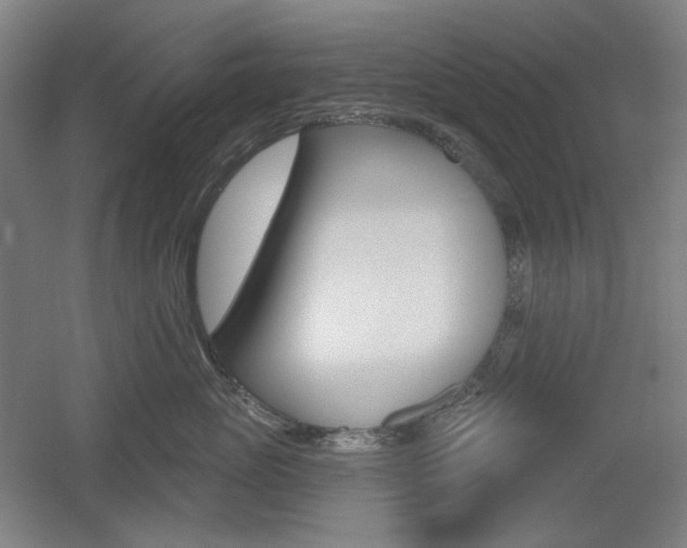 X0000055970765200508190703
