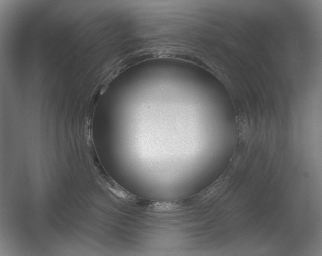 X0000055970766200508190703