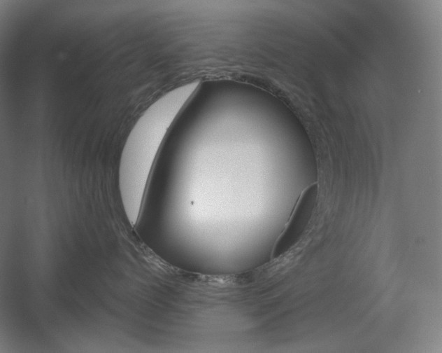 X0000055970768200508190703