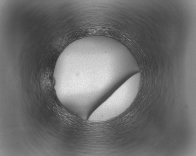 X0000055970770200508190702
