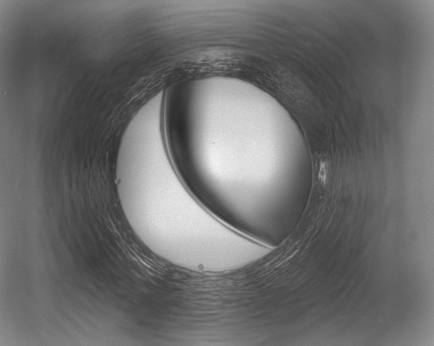 X0000055970771200508190702