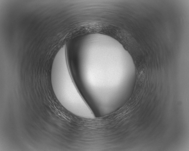 X0000055970772200508190702