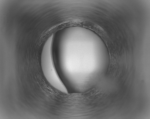 X0000055970773200508190702