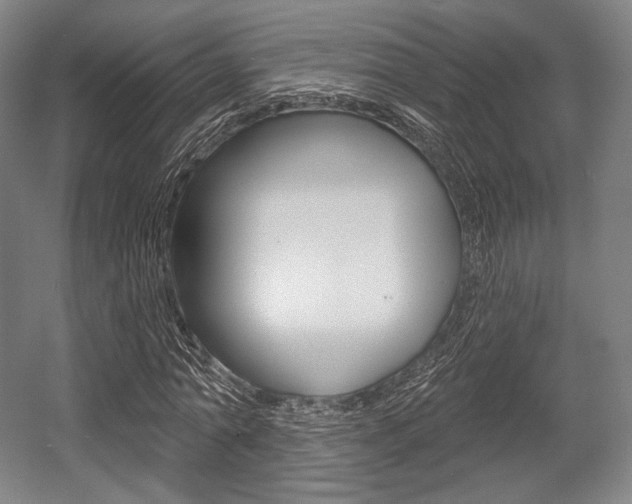 X0000055970774200508190702