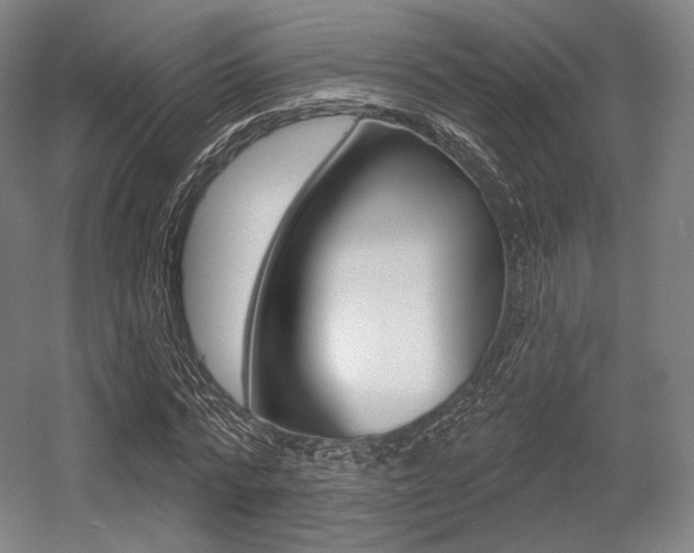X0000055970776200508190702