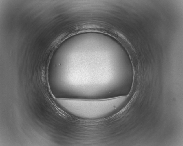 X0000055970777200508190702