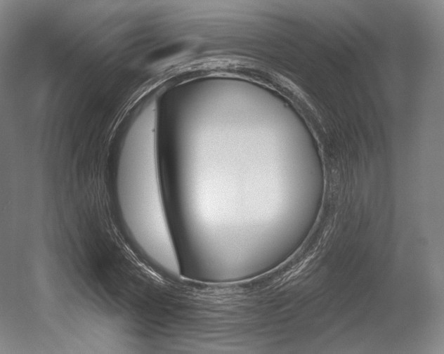 X0000055970778200508190702