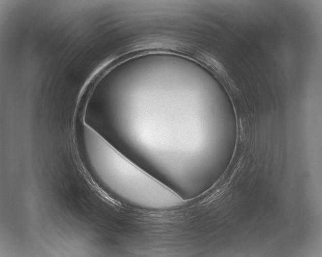 X0000055970780200508190702