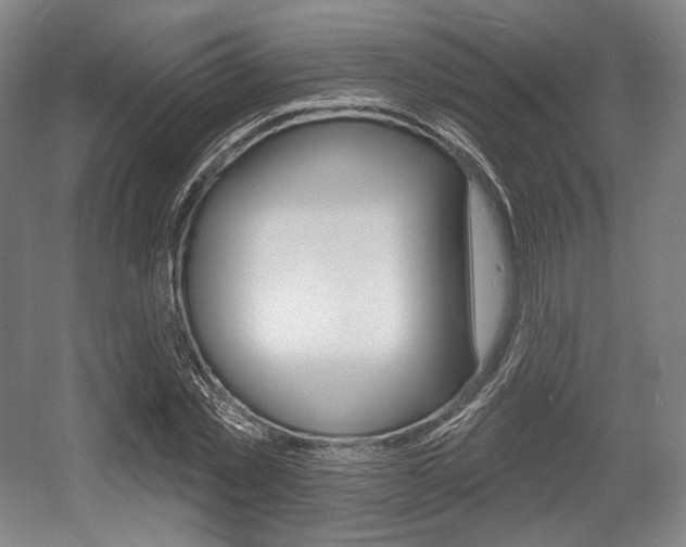 X0000055970781200508190702