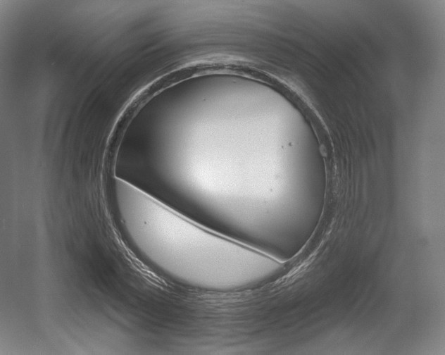X0000055970783200508190702