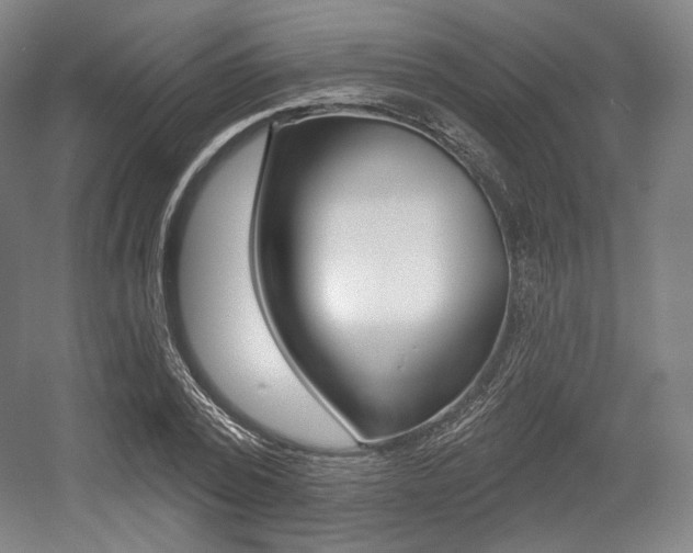 X0000055970784200508190702