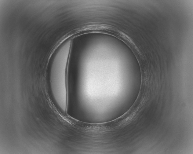 X0000055970786200508190702