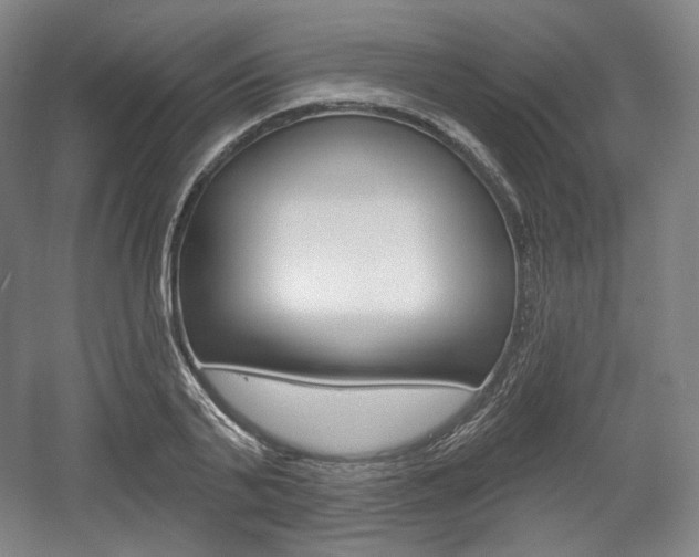 X0000055970791200508190702