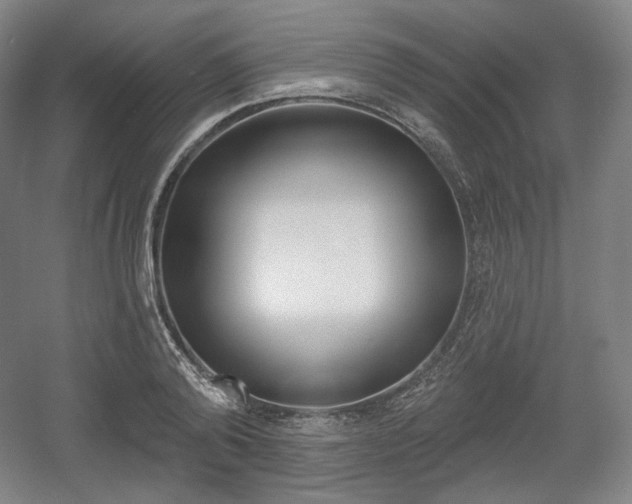 X0000055970792200508190702