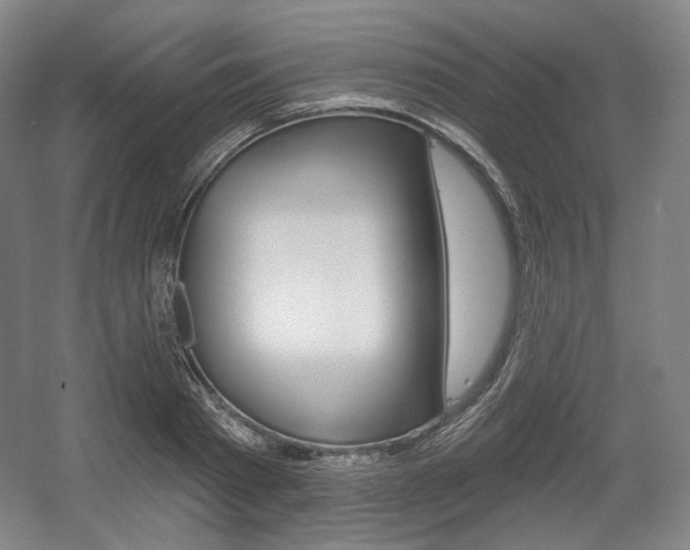 X0000055970793200508190702