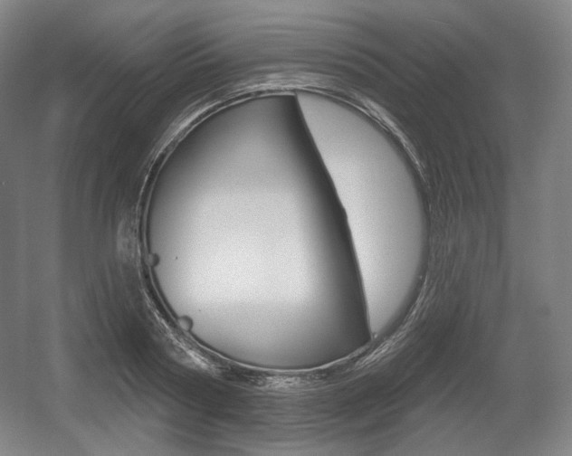 X0000055970794200508190702