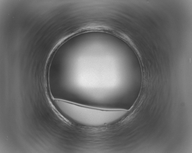 X0000055970795200508190702