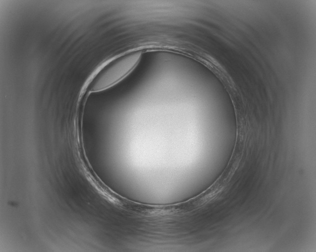 X0000055970796200508190702
