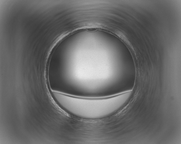 X0000055970797200508190702
