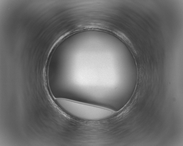 X0000055970798200508190702