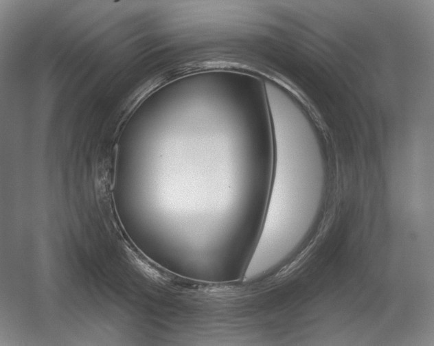 X0000055970801200508190702