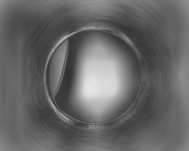 X0000055970803200508190702