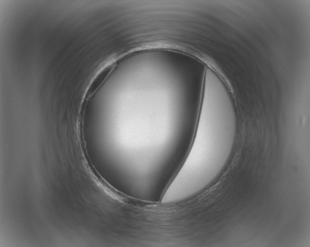 X0000055970805200508190702