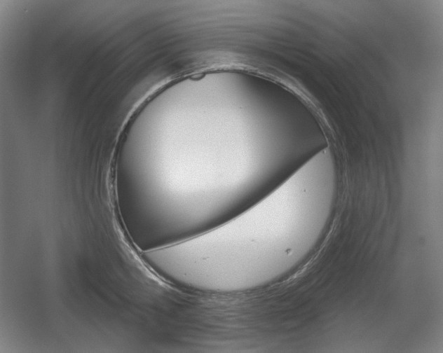 X0000055970806200508190702