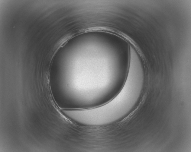 X0000055970809200508190702