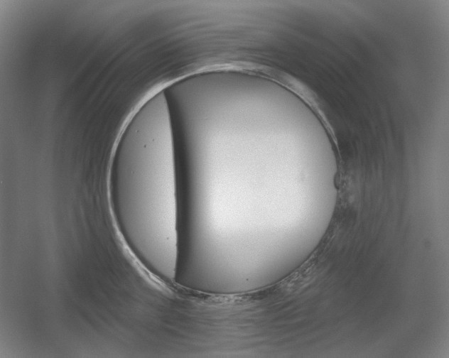 X0000055970811200508190702