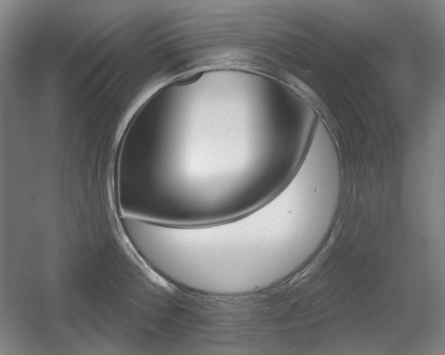 X0000055970812200508190702