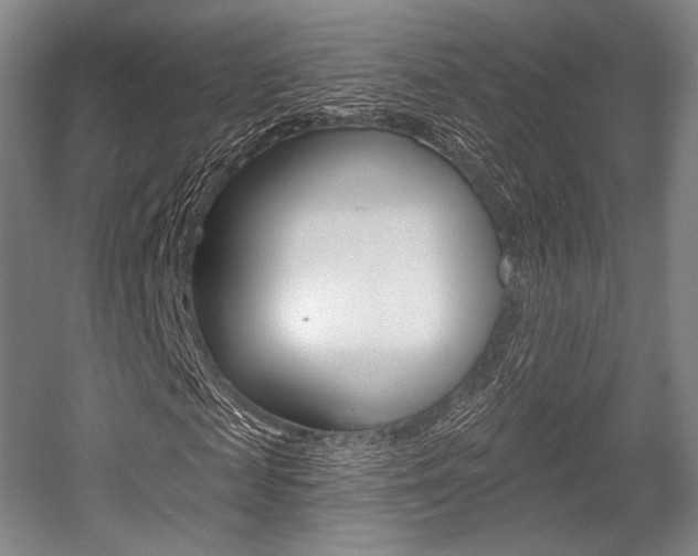 X0000055970817200508190701