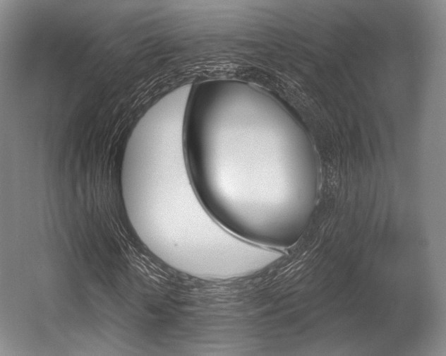 X0000055970818200508190701