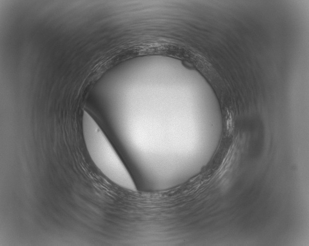 X0000055970819200508190701