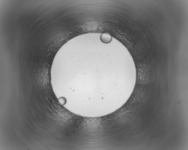 X0000055970820200508190701