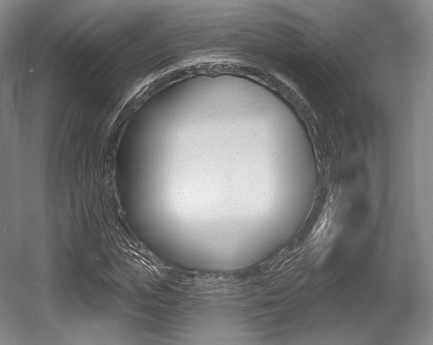 X0000055970823200508190701