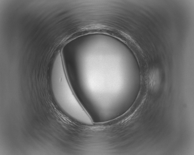 X0000055970825200508190701