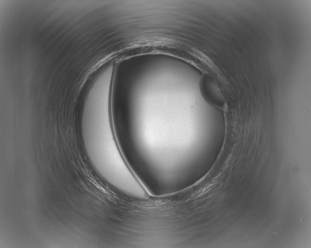 X0000055970826200508190701