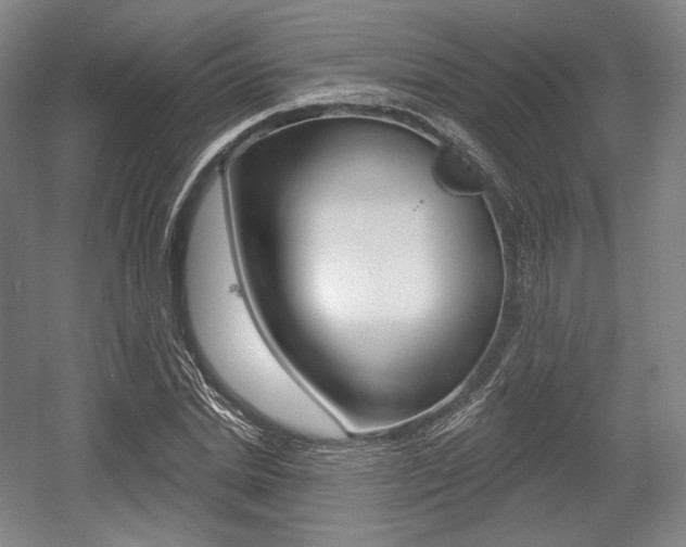 X0000055970830200508190701