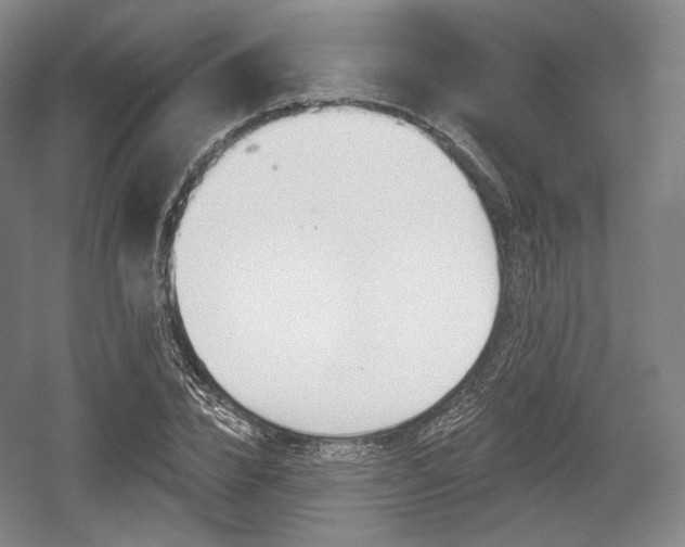 X0000055970832200508190701