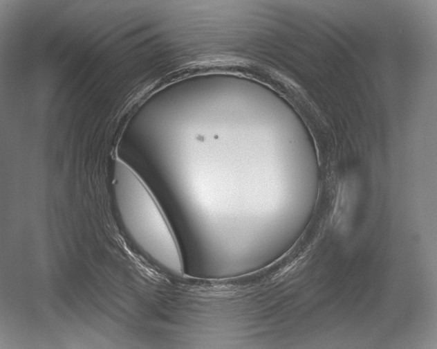 X0000055970833200508190701