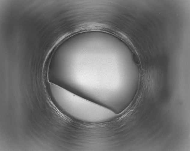X0000055970835200508190701