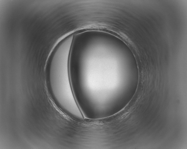X0000055970838200508190701