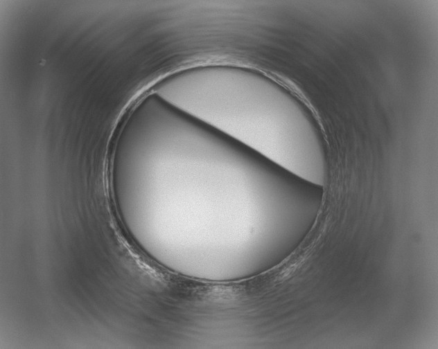 X0000055970839200508190701