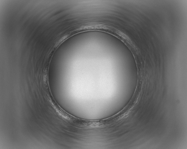 X0000055970841200508190701