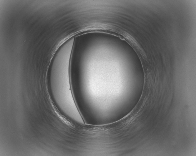 X0000055970842200508190701