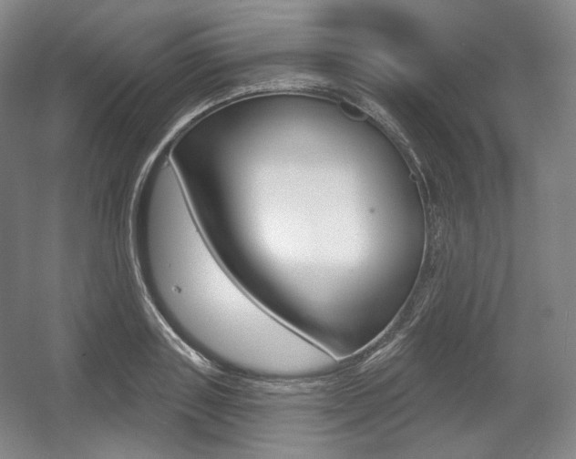 X0000055970843200508190701