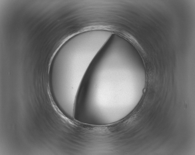 X0000055970844200508190701