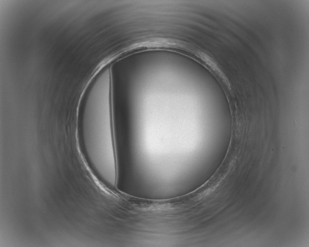 X0000055970845200508190701