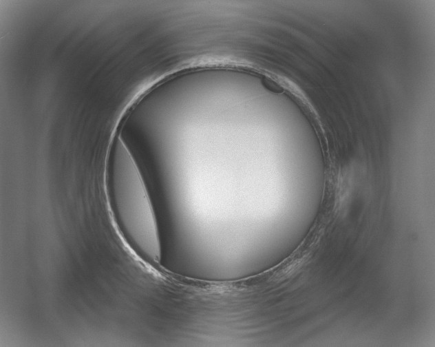 X0000055970847200508190701